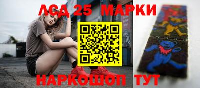 стаф Аргун
