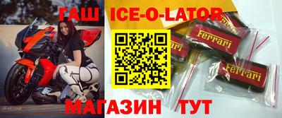 стаф Аргун