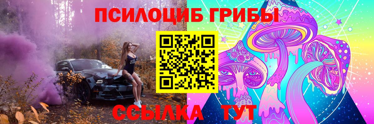 Аша  Галлюциногенные грибы мухоморы  Вход с VPN 